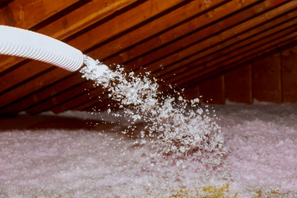 Best Residential Insulation in Cahokia, IL