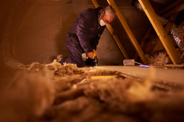 Best Commercial Insulation in Cahokia, IL